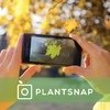 mobapp,apps,news,app of the week,plantsnap,plants,garden,forest,nature,plant,flower,kind,app,photo,identify,pictures,information,scientific classification ,growing area,search,iOS,Android,