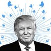 Trump,Tweets,Twitter,Social,Apps,AppNations,